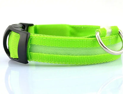 Pet Led Collar