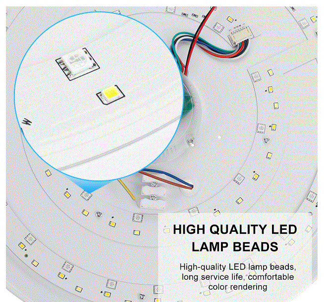 Modern RGB LED Ceiling Light