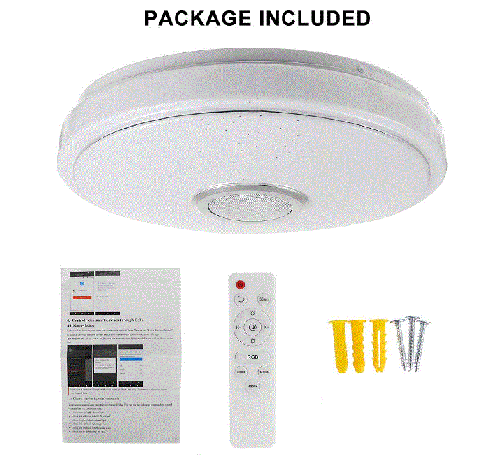 Modern RGB LED Ceiling Light